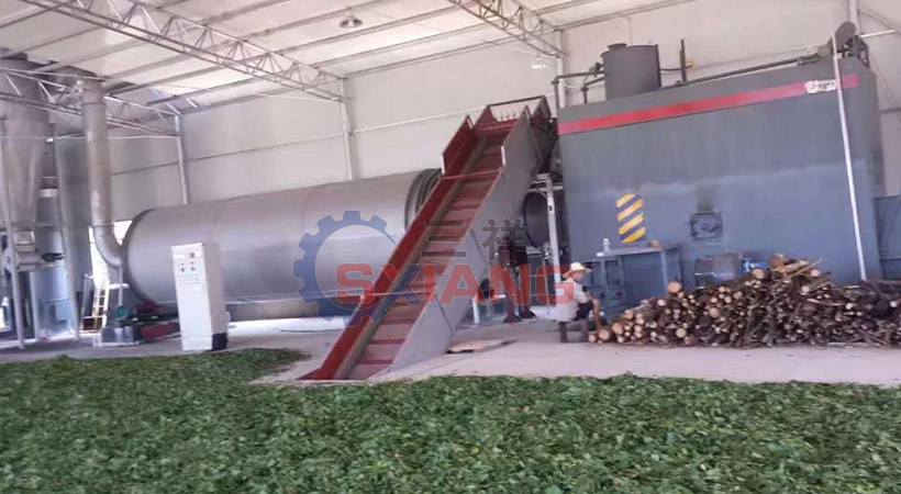 ����Ҷ��ɻ�