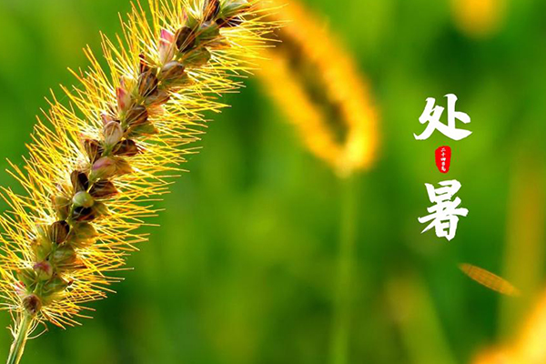 ��ҳ-�������ǲ��й��ٷ���վ